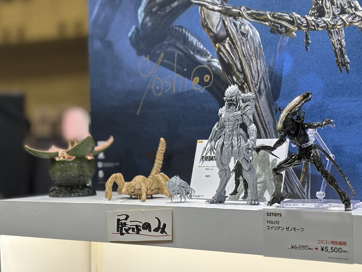 日本でのサイン会はほぼ初めてだったので緊張しましたがとても楽しい