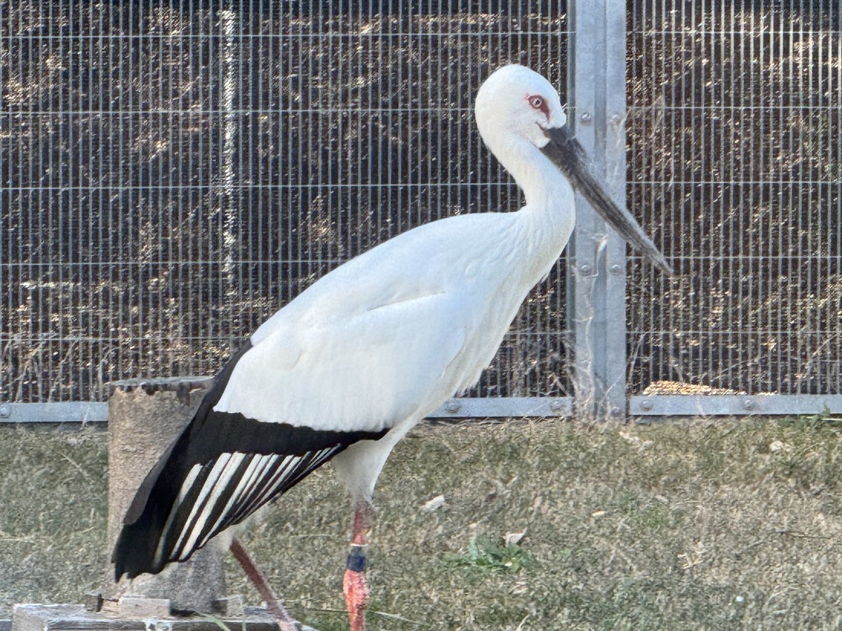 今日の実績。下のポストカードは別途寄付したら頂けますた。