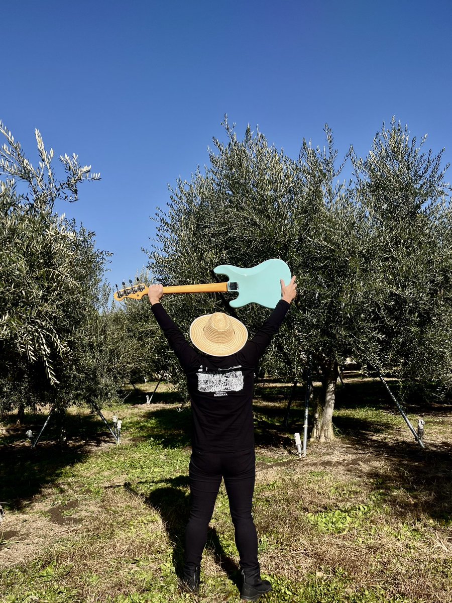 山崎 翔 (@shoyamasaki) / Posts / X