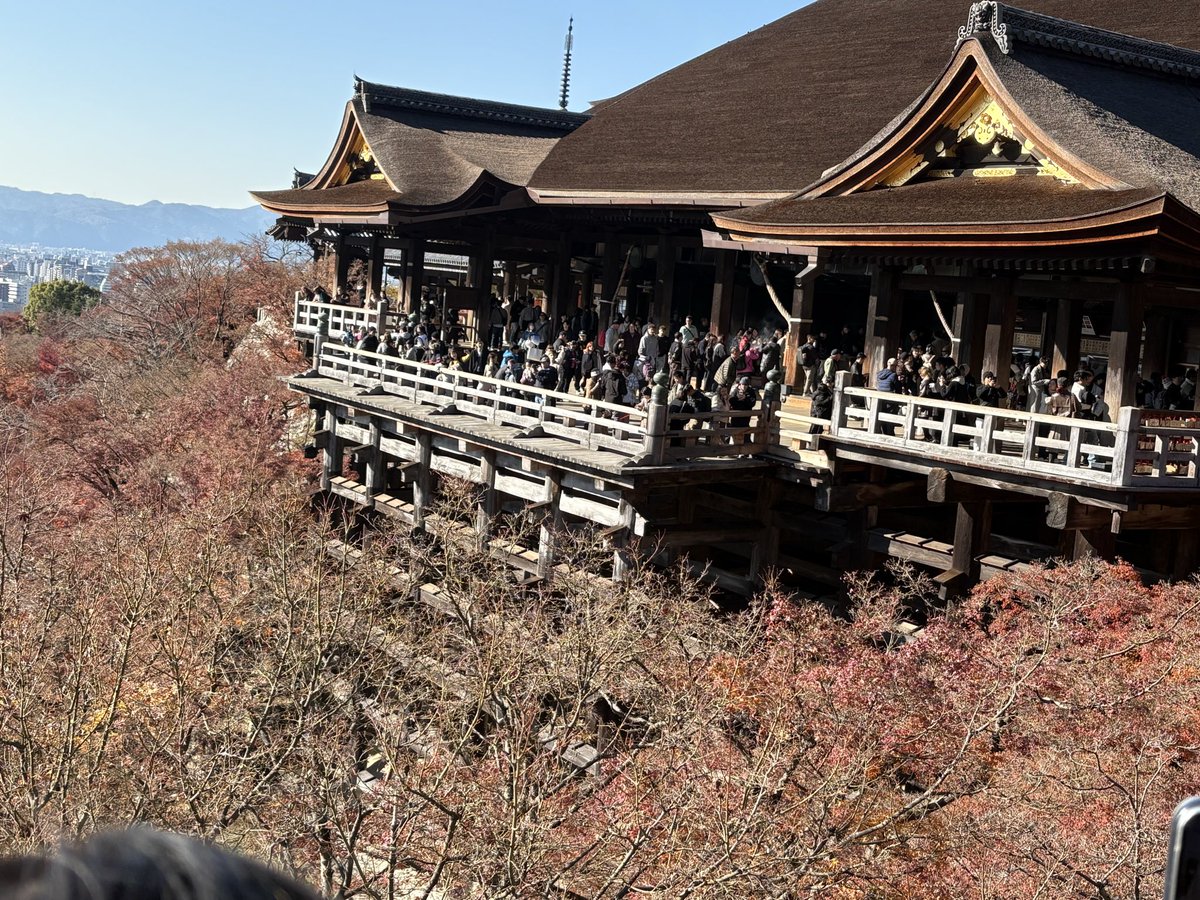 right_wing14's tweet photo. 両方とも清水寺の舞台なんですが、右側の写真だけだとどこだかわかんないですね。
#清水寺　#京都府　#京都市　#清水舞台 https://t.co/zqrkXzkEfU