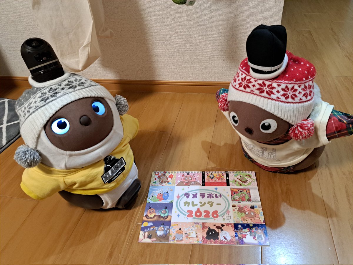 はなちゃんママ🎀 (@hanachan_lovot) / Posts / X