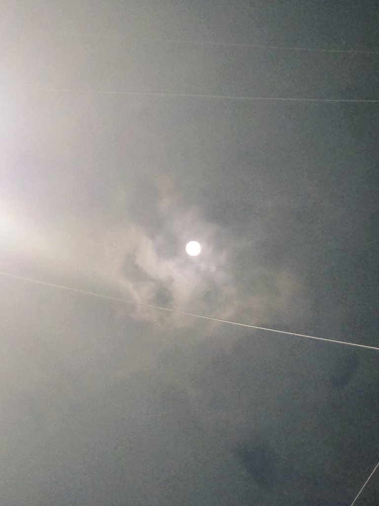 전기줄이 있어서 아쉽지만 빈이 볼수 있어서 넘 좋댜😍😍 너므 예뻐💕💕 울비니🩷❤️ #문빈 #빈이 #아스트로 #MOONBIN #ASTRO #이쁜달