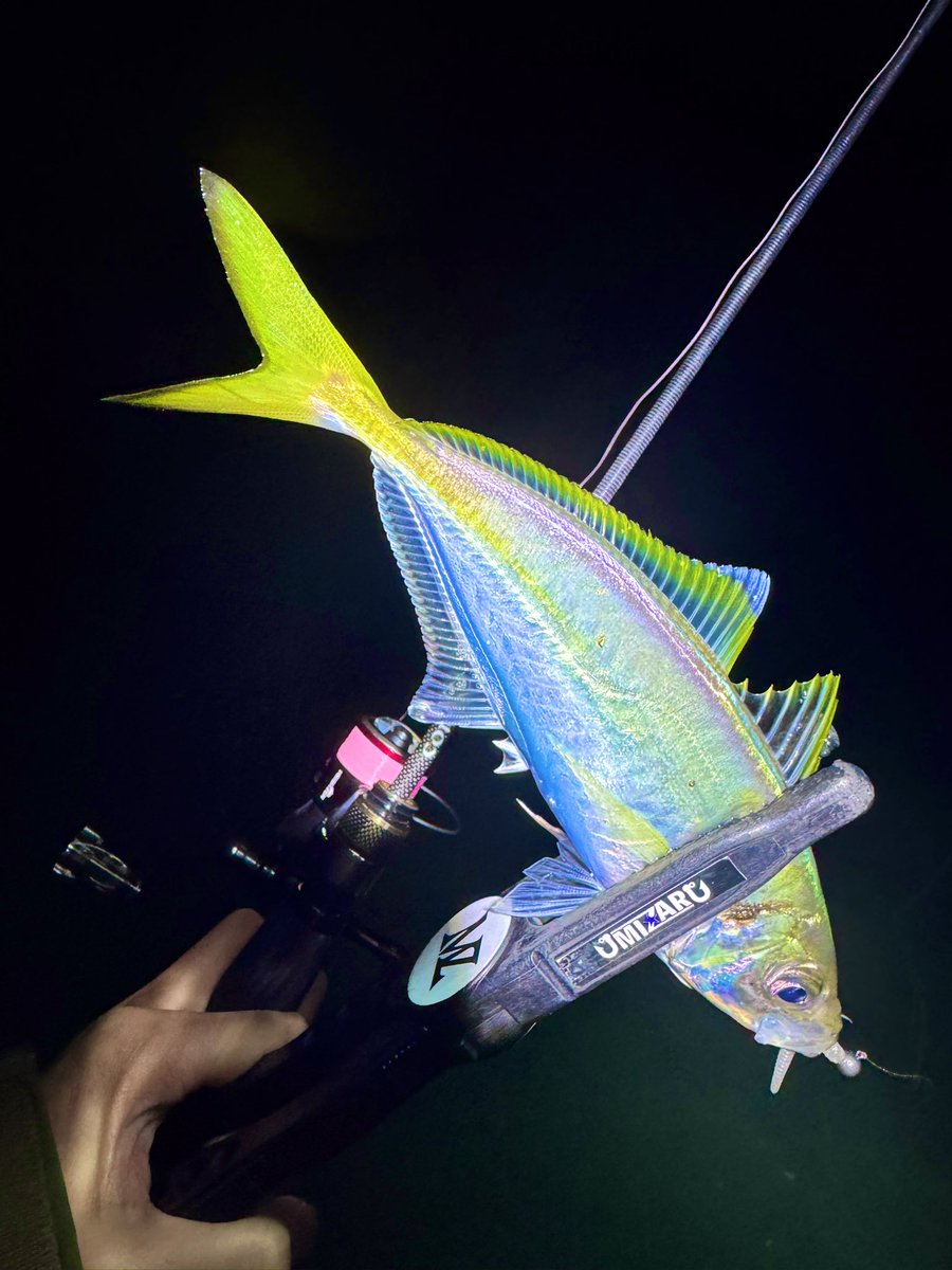 𓆜𓆝ジャスミン03 𓆞𓆟 (@Jasmine0_3) / Posts / X