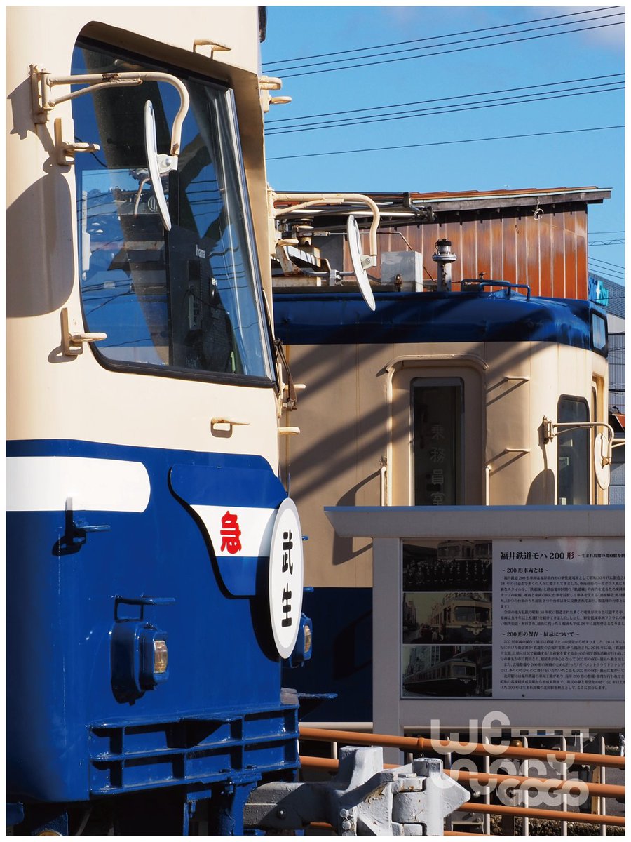 Yumeden Factory (@WEsunnyGOGO) / Posts / X