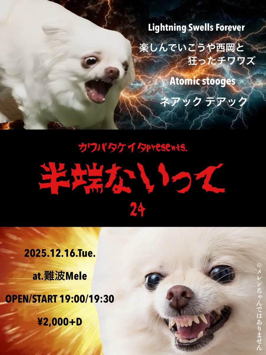 再来週はこちら！カワバタ君企画です！チワワズは3番目20:50から