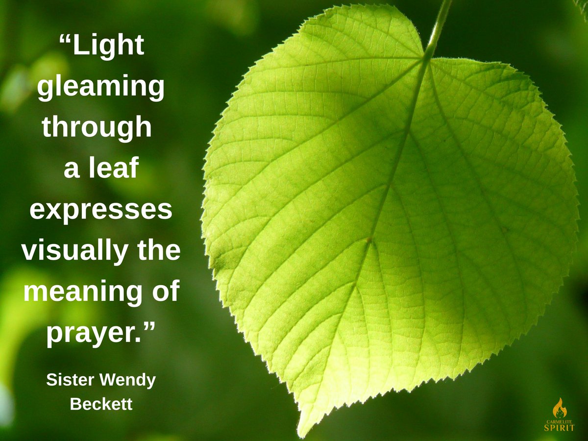 CarmeliteSpirit's tweet image. Wisdom on prayer from Sister Wendy Beckett...