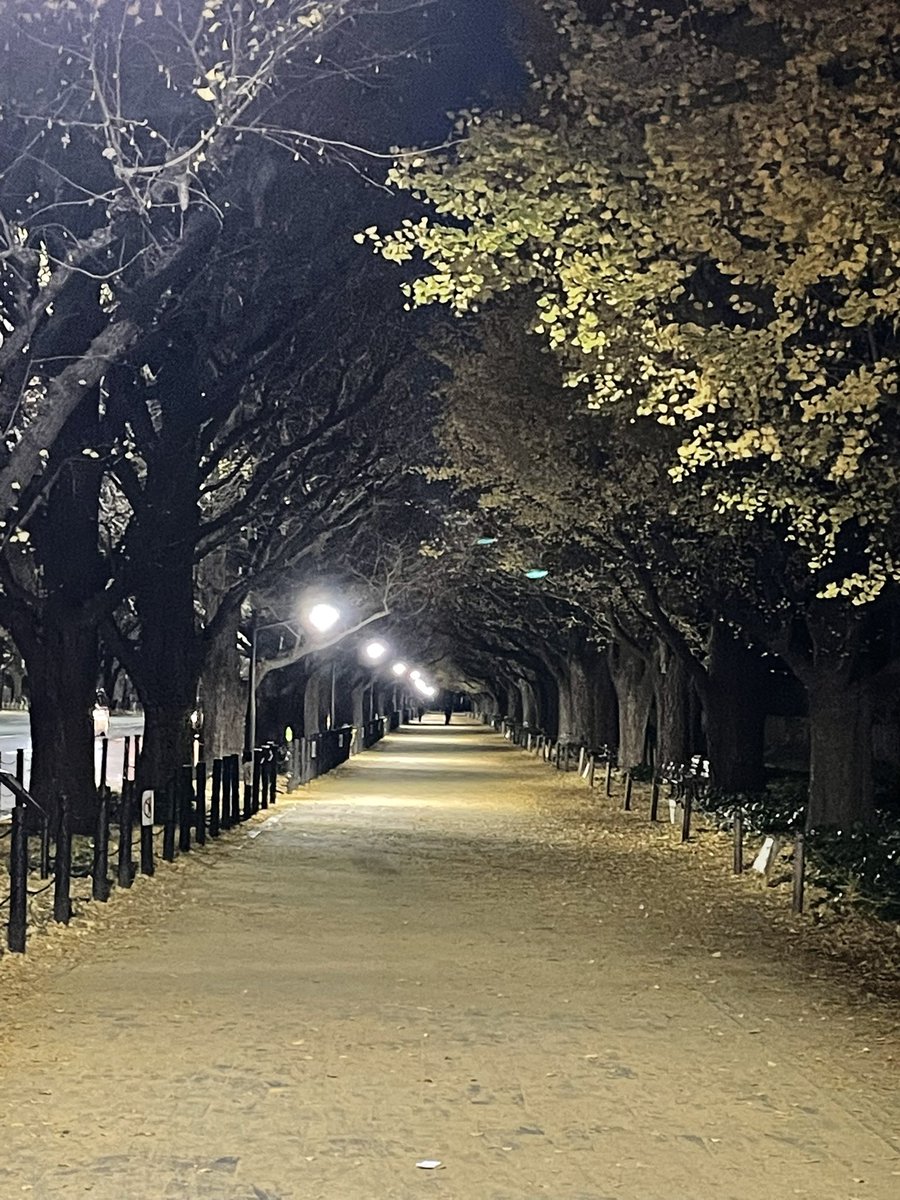 Q0vClE9db3MO80Q's tweet photo. #外苑前 #神宮外苑銀杏並木 #青山
#銀杏並木 #グッドスマイルカンパニー #RWBY #RWBYfan #PennyPolendina https://t.co/8G2xreXKmS
