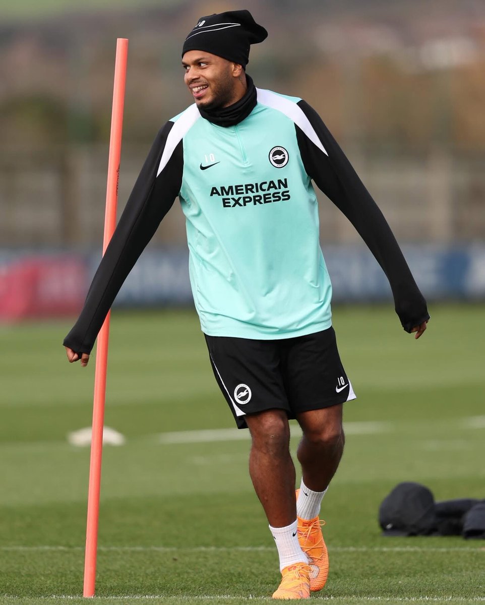 Brighton Buzz tweet media