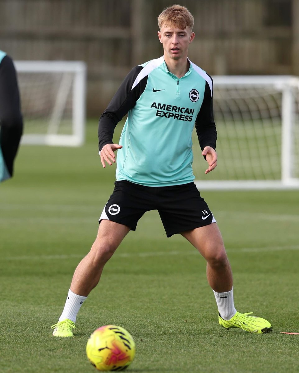 Brighton Buzz tweet media