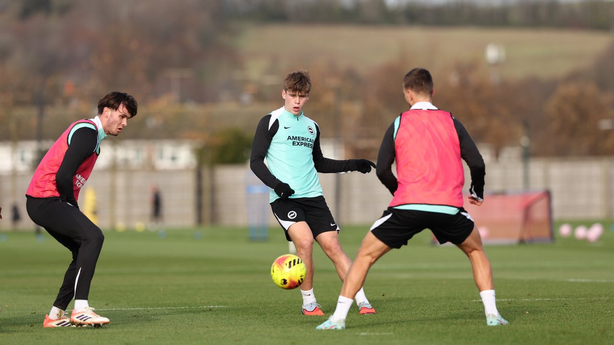 Brighton Buzz tweet media