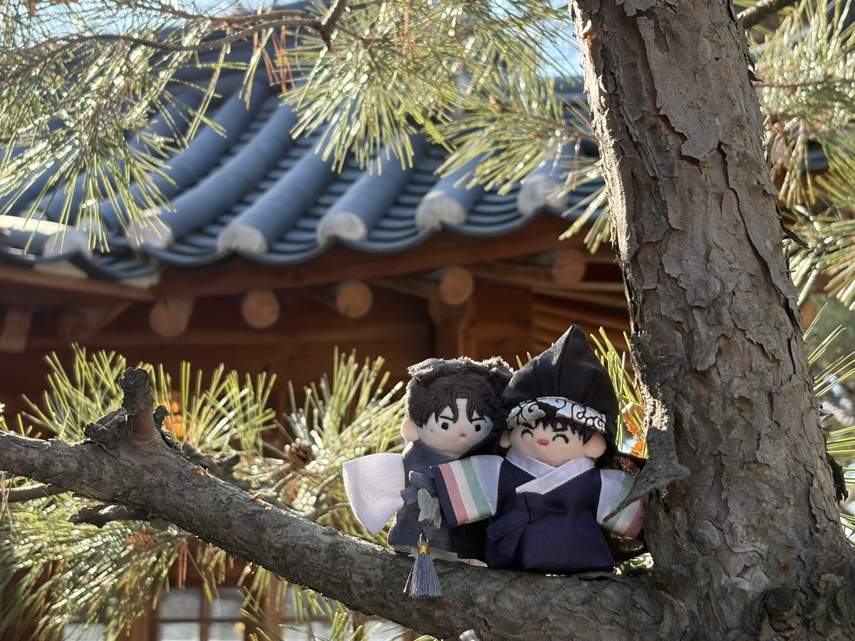 softyor_tor's tweet image. RT+팔로워 이벤트   

✨도련님 비단장 10cm &amp;amp; 5cm 한복 (운현,색동 2종) 
12/6 14:00 ~ 12/7 22:00 (2차 오픈)
&amp;gt; 배송 : 구정 전 발송
&amp;gt; 타래에도 다양한 사진 링크 걸어둘게요!

윗치폼&amp;gt; witchform.com/deposit_form/9…
홈페이지&amp;gt;softyor.kr/shop_view/?idx…