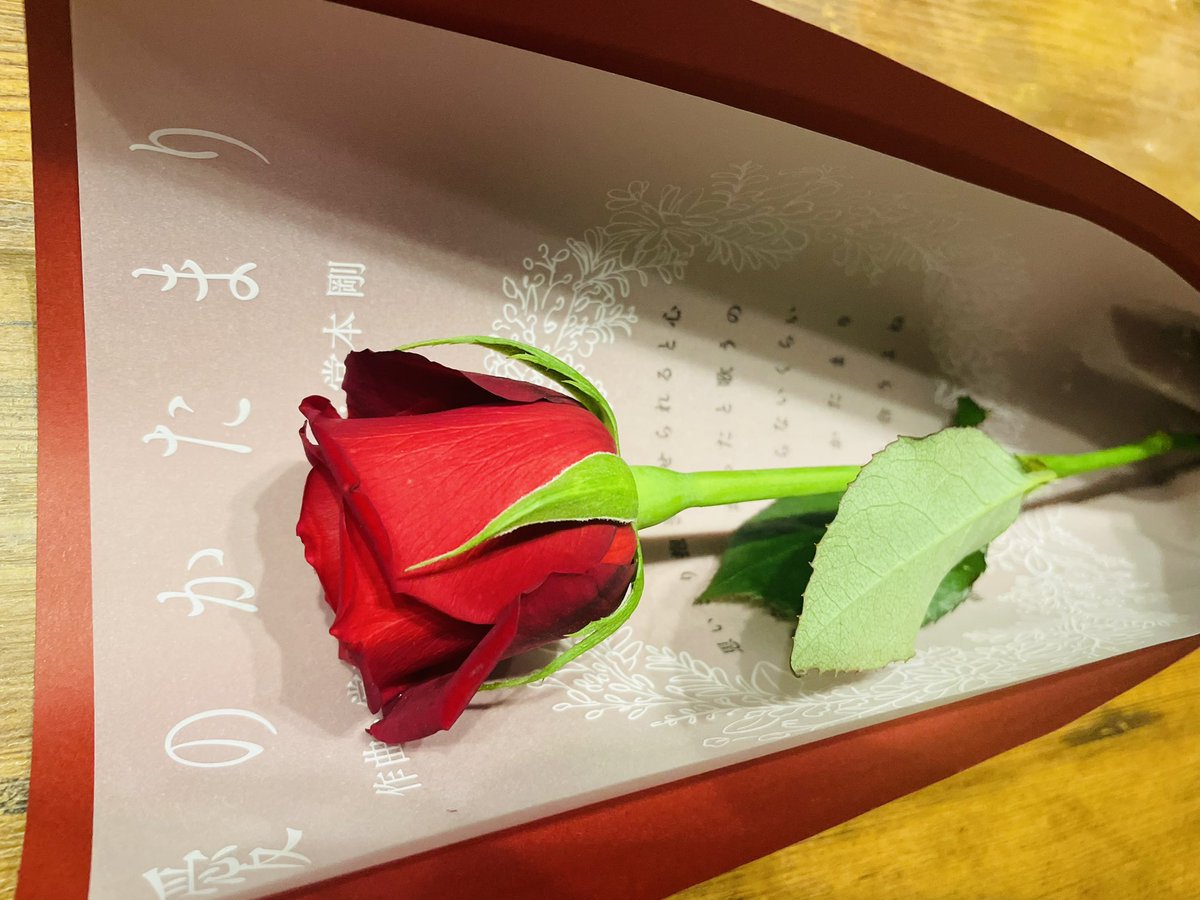 オットと別行動で渋谷109へ DOMOTO 愛のかたまり 6000本の薔薇