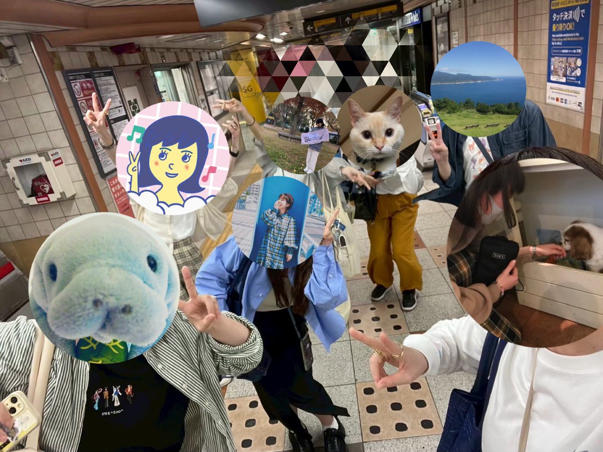 ぷるーと tweet media