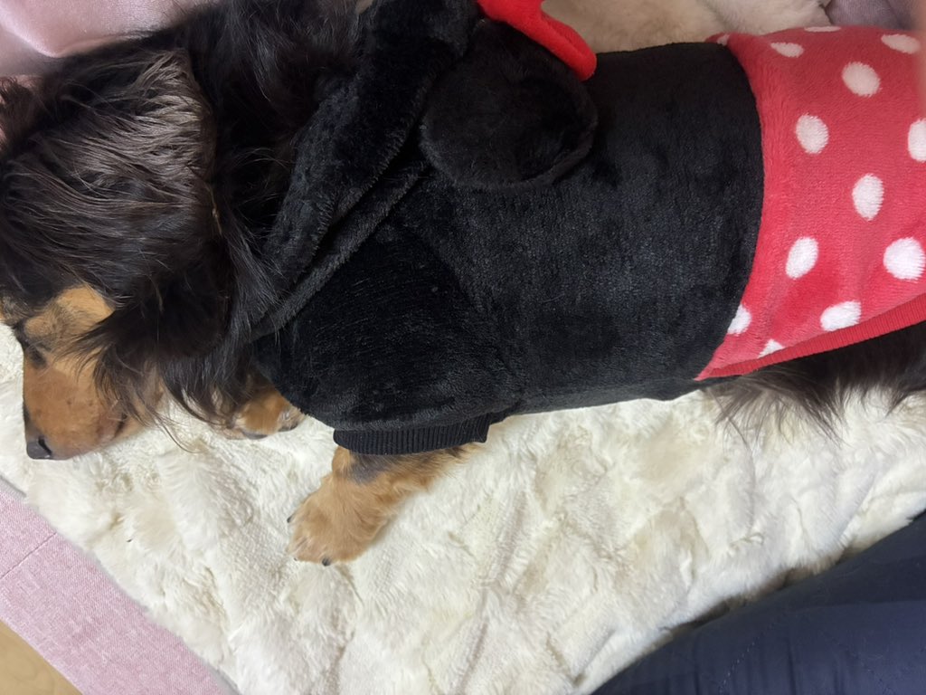 🌙G☆SPOT P⭐ (@g_spotp) / Posts / X