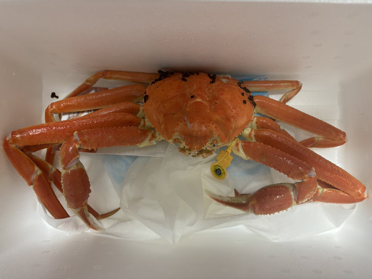 すまいる。 (@smile010604) / Posts / X