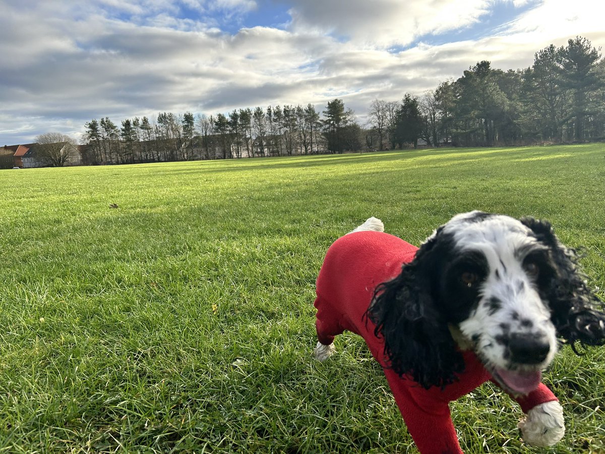 Pauline Dillon tweet media