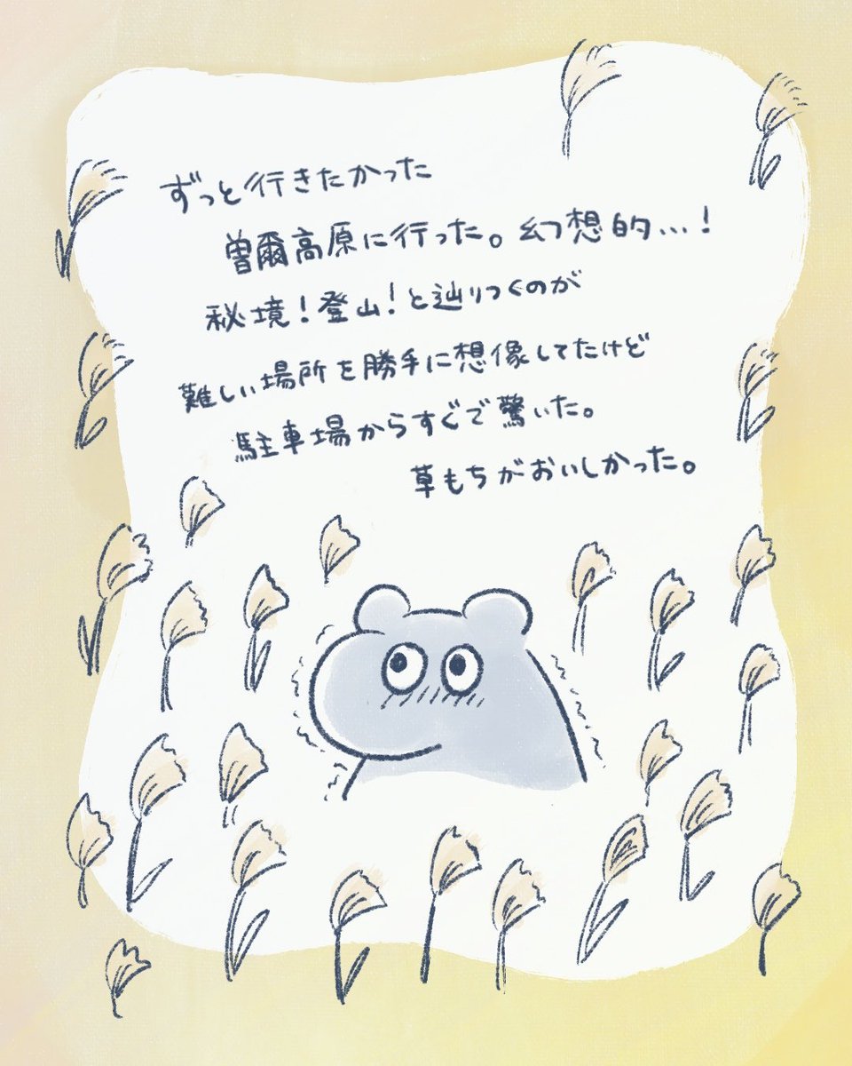 美しかった
#ゆるいイラスト 