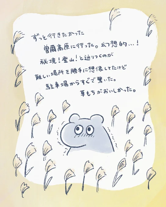 美しかった
#ゆるいイラスト 