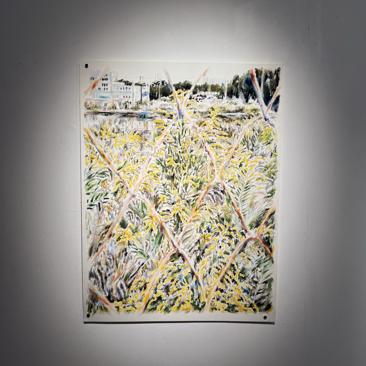 odawaranodoka's tweet photo. 北加賀屋の千鳥文化ホールで菊池聡太朗個展「余りの風景」を見た。2011年の東日本大震災の津波後に残された／残った宮城県沿岸部の松林や、丸森町の植林で余された／余った場所などを継続的に訪れることで描かれた作品たち。 https://t.co/ySI3mwF8Ka