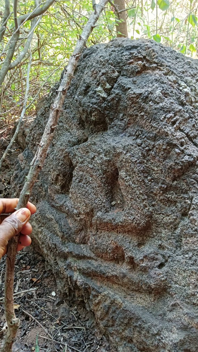 AyyangarBksr's tweet photo. *A new Buddhist site with rock-cut caves, and sculptures surfaced accidentally at Geddapalem
village, S Rayavaram,
Anakapalli dist., #AndhraPradesh.
(6th century CE) 
*The sculptures represent Vajrayana phase of Buddhism based on the features of iconography. 
_Director (Epi), ASI https://t.co/ujFp7wZwxg