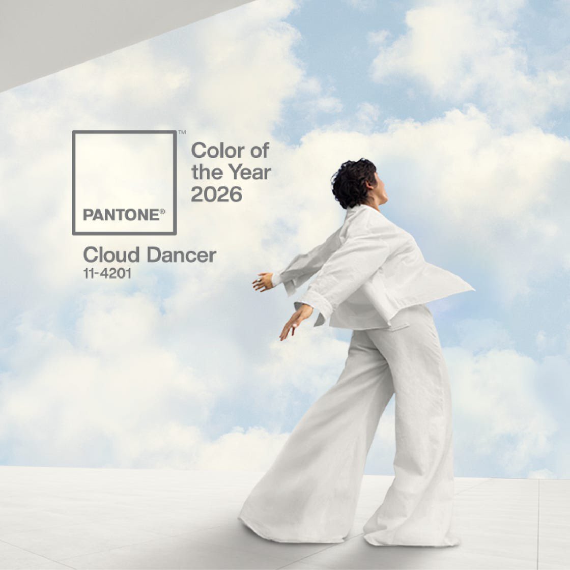 Pantone’s 2026 Color of the Year Is White.