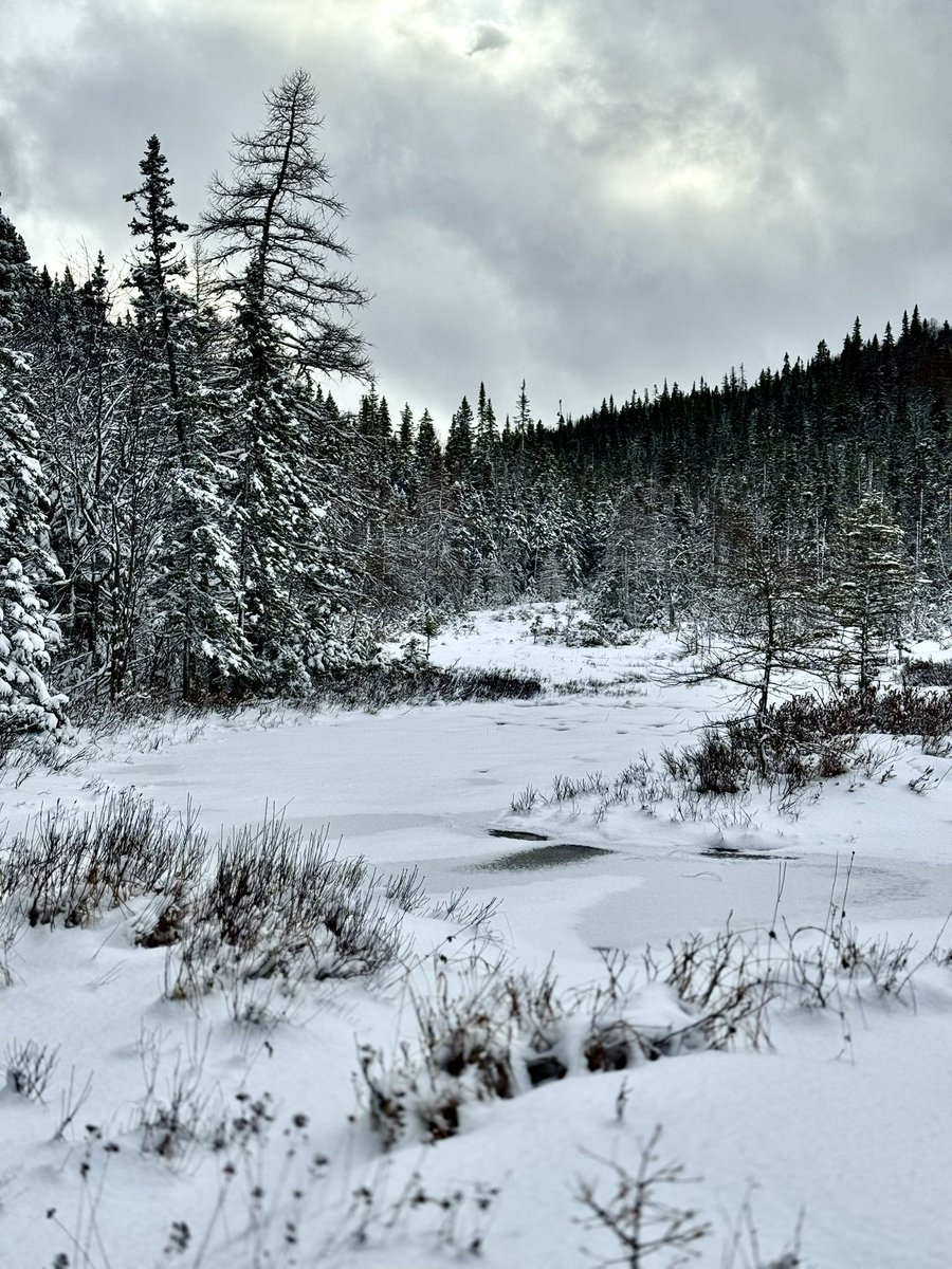Walking in a winter wonderland.
Burnt Pond Road, Corner Brook. 
December 2025. Happy Saturday, friends. #NewfoundlandandLabrador #explorenl