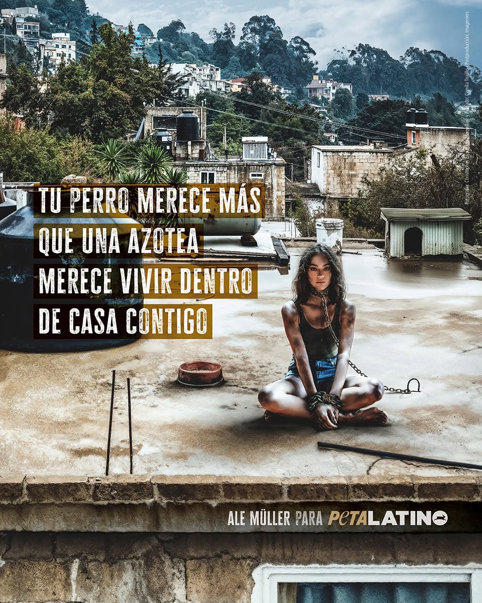 juditespadi's tweet photo. #Saltillo
#Coahuila
República Mexicana https://t.co/3KbQ7aesHE