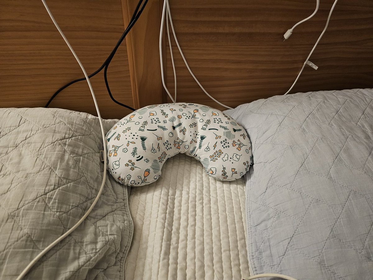 애기가 부디 인간 머리맡까지 올라와주시길 간절히 빌면서 이번에 사온 신상 베개를 놓아봤음 제발 좀 와주셔요🥲