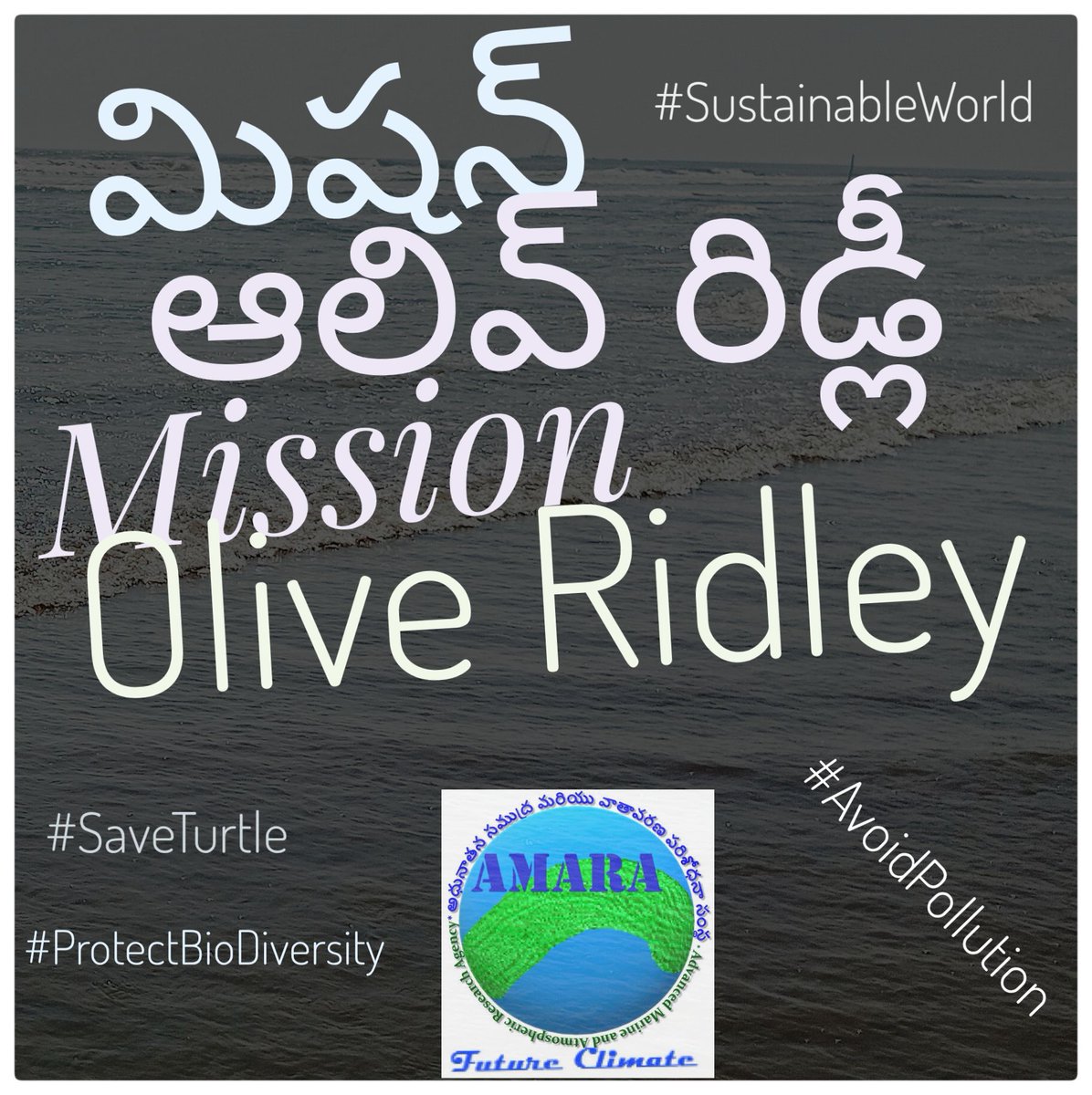 AMARA_INT's tweet photo. #AMARAgency #ClimateChange #ExtremeWeather #Mission #Turtle #OliveRidley #Plastic #Chemical #FossilFuel #Pollution #Ocean #Acidification #Temperature #Health #Earth #Environment #EcoSystem #Marine #Ships #Nature #Future #Life #LifeStyle #Sustainable #World #Food #Agriculture #Eco https://t.co/eJHng8BVOn