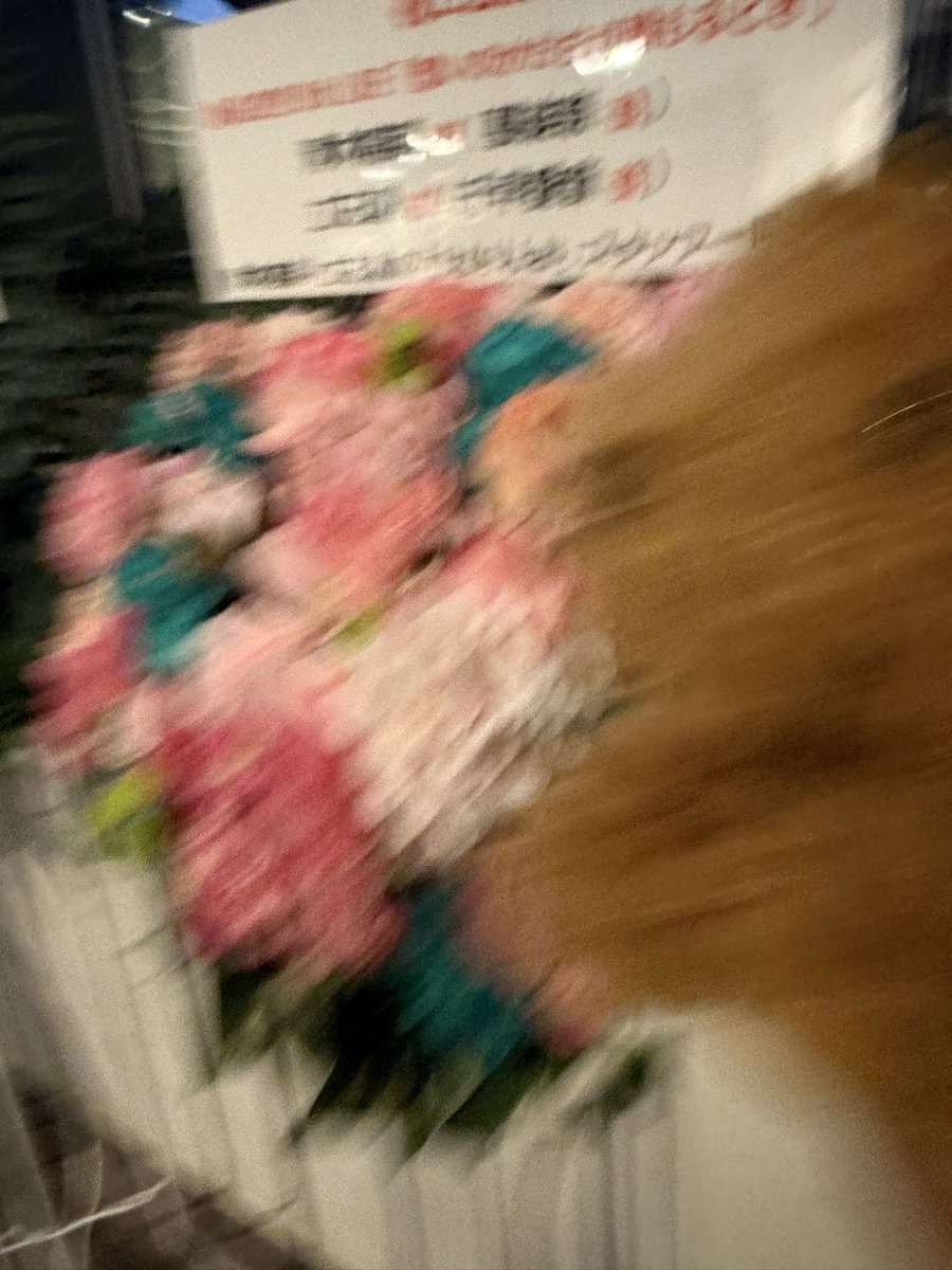 青木陽菜 立石凛 キングリーコラボアクスタ 青木陽菜 立石凛 キング