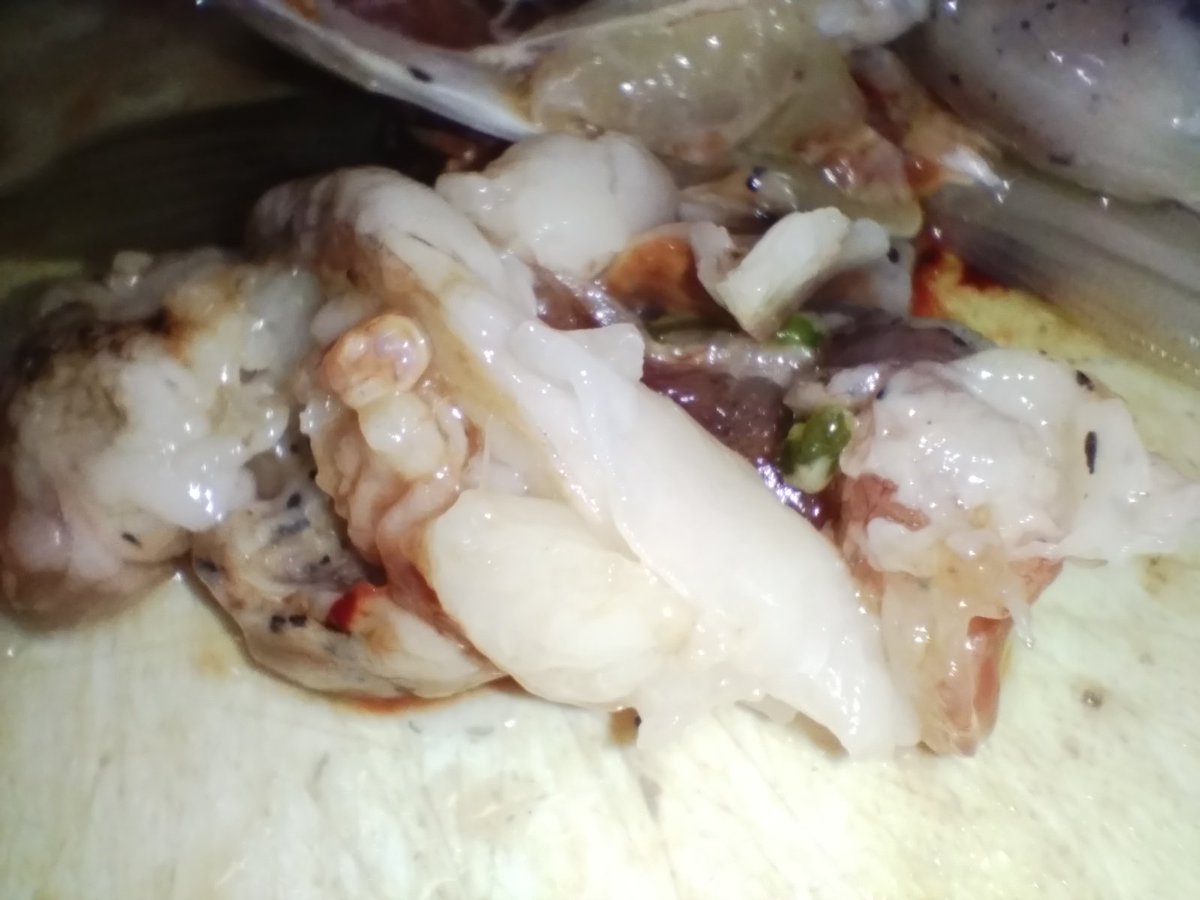 1匹5000円か〜とか言ってたけどこれは5000円でいいわ、勝ち確だ……