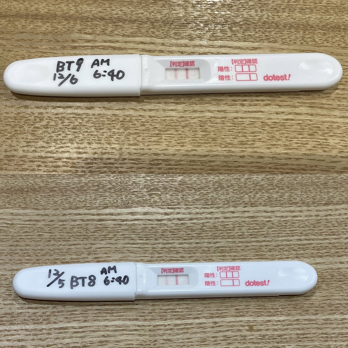 ____rhapsody__'s tweet photo. 無事、クリニックで陽性反応いただきましたーー！！！

このまま育っておくれよーーーーー！！！！！🧚🧚 https://t.co/c0VHcmO7VT