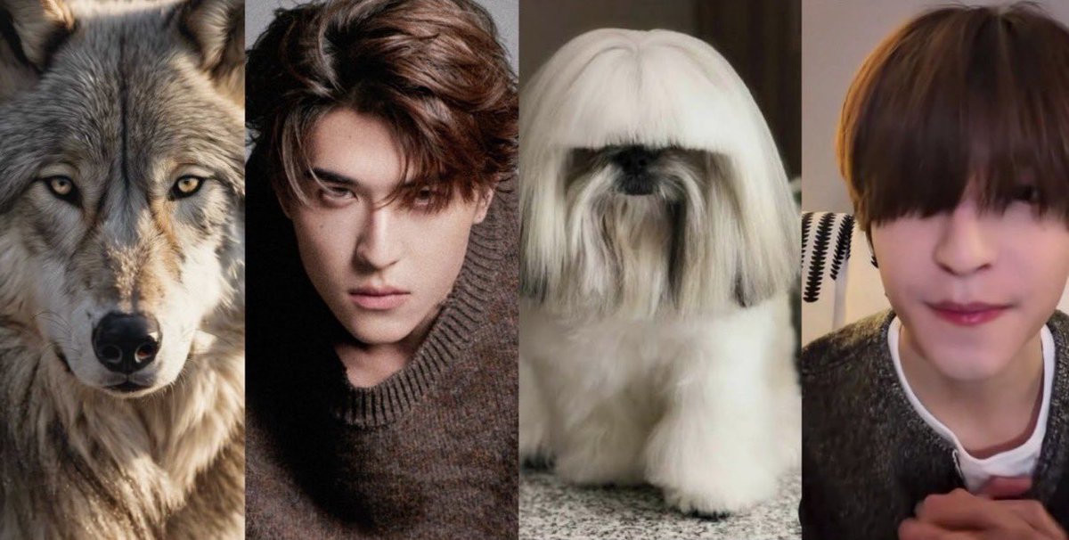 กาจะบู้🫠🫠🙊🙊🙊🙊 @เจ้าปลาดาว