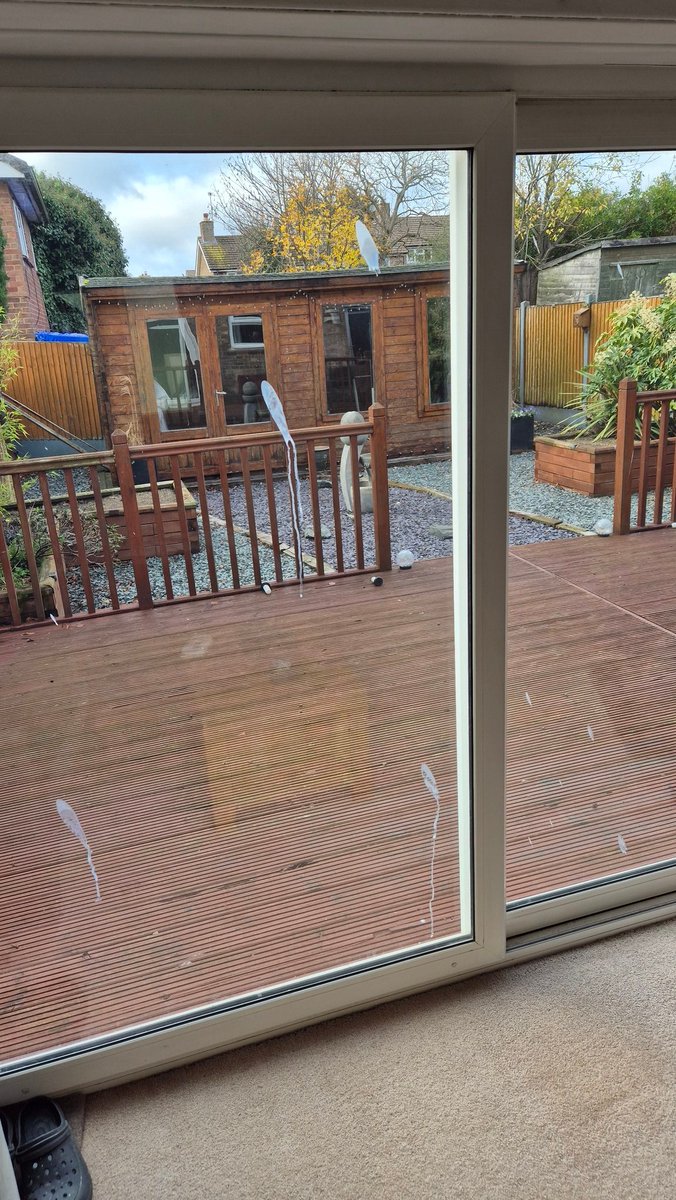 mgbed's tweet image. Nice.... cleaned them earlier too....