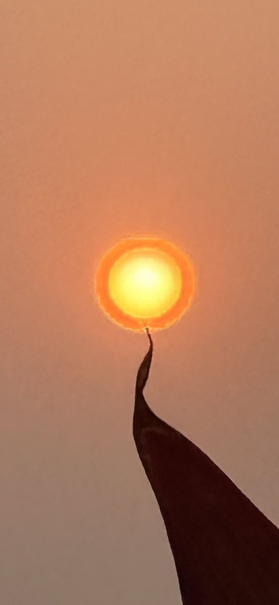 The sun is round and bright,
A big hot ball of light.
I grab my little leaf,
Dig deep one morning .
Scoop, scoop, scoop—plop!
Now the sun has a a tiny hole ,
It winks at me and sings,
“Hello, Son ! Look what fun brings!”
The sun is still so bright,
But now it laughs all night.