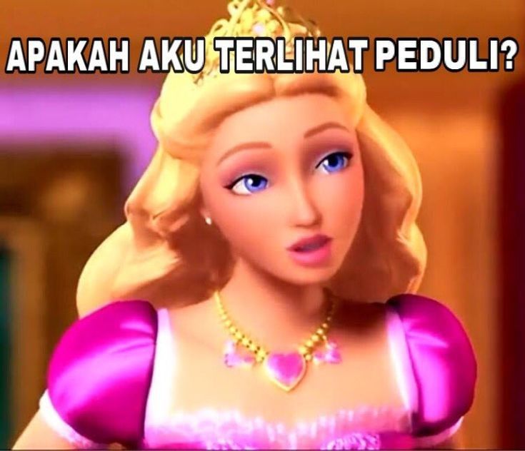 Stella. tweet media