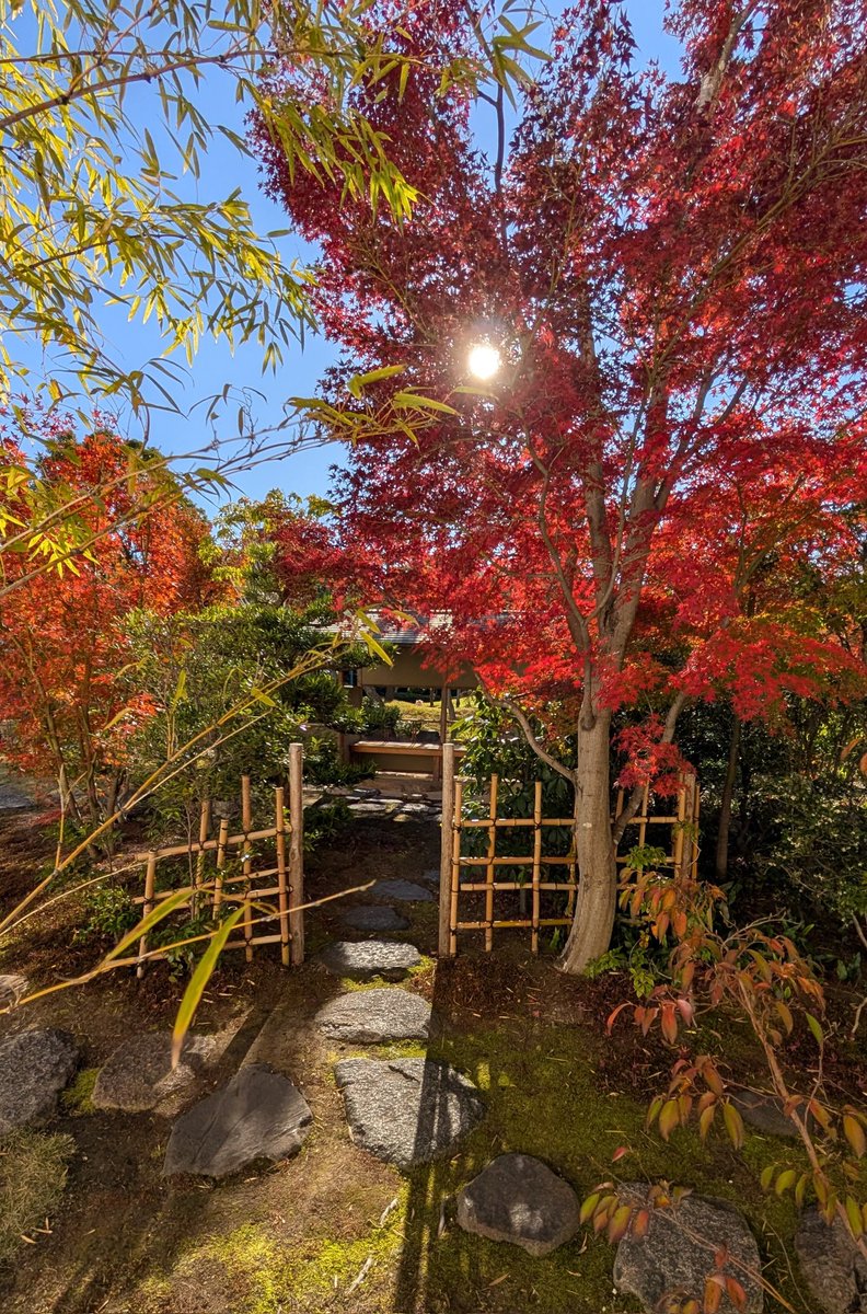 ヒロじい note pad (@SizePad) / Posts / X