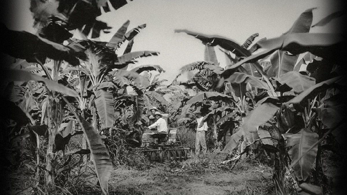🇨🇴97 años de la masacre de las bananeras: asesinato de decenas de trabajadores y más de cien heridos, de la empresa estadounidense de banano United Fruit Company a manos del Ejército de Colombia, que se produjo entre el 5 y el 6 de diciembre de 1928 en el municipio de Ciénaga.
