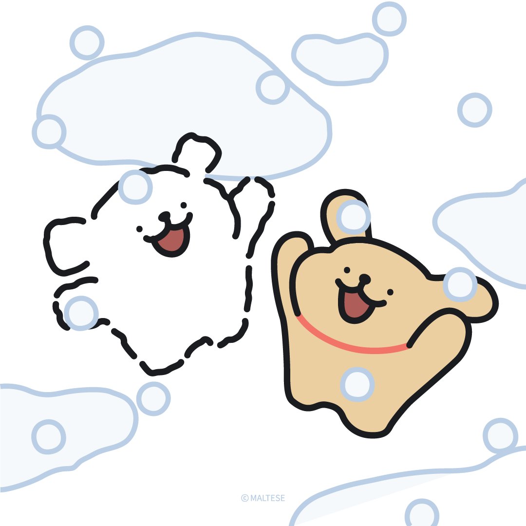 モルチーズ【公式】 tweet media