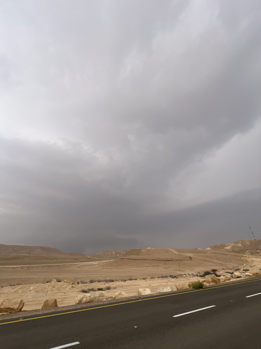 Lucas Adler tweet media