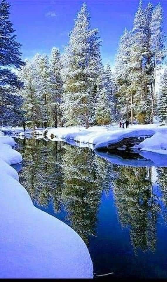 noumij007's tweet photo. Good evening and good night dear friends. https://t.co/7M7rNzrniA