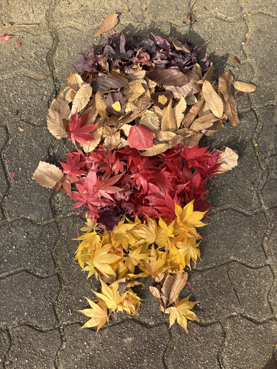 토성인 tweet media