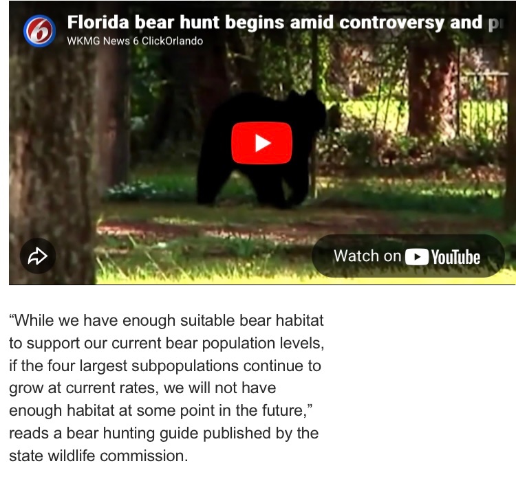 John578022's tweet image. @RonDeSantis they are building tens of thousands of apartments and other dwellings and decimating the wooded areas, so the solution is to kill the animals who were there long before we were? I agree with most of what you do but not this  #stopbuilding
