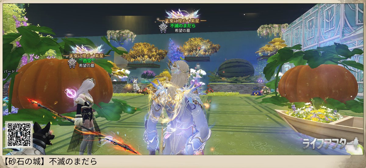 貴方はこの猫を知っている。 tweet media