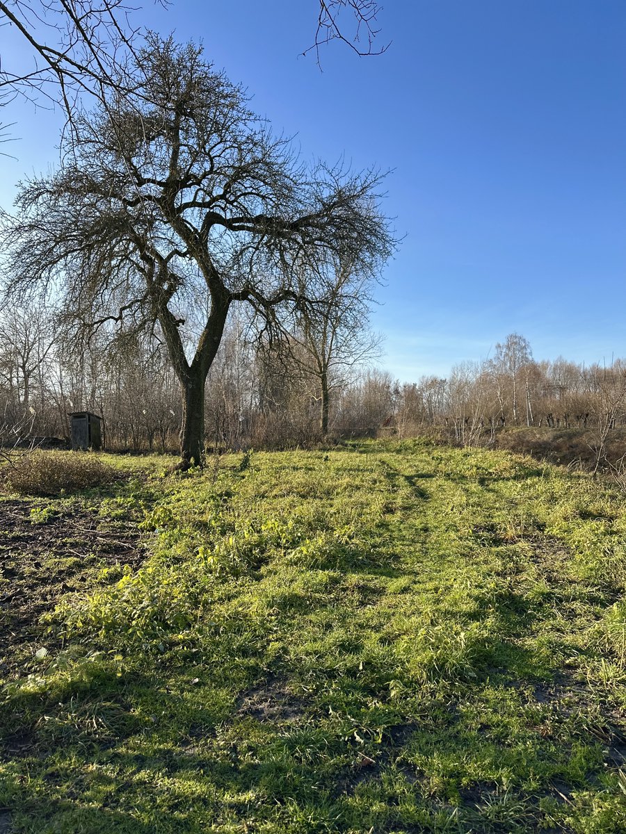 Я вибачаюсь, а сьогодні точно 6 грудня? 🤔