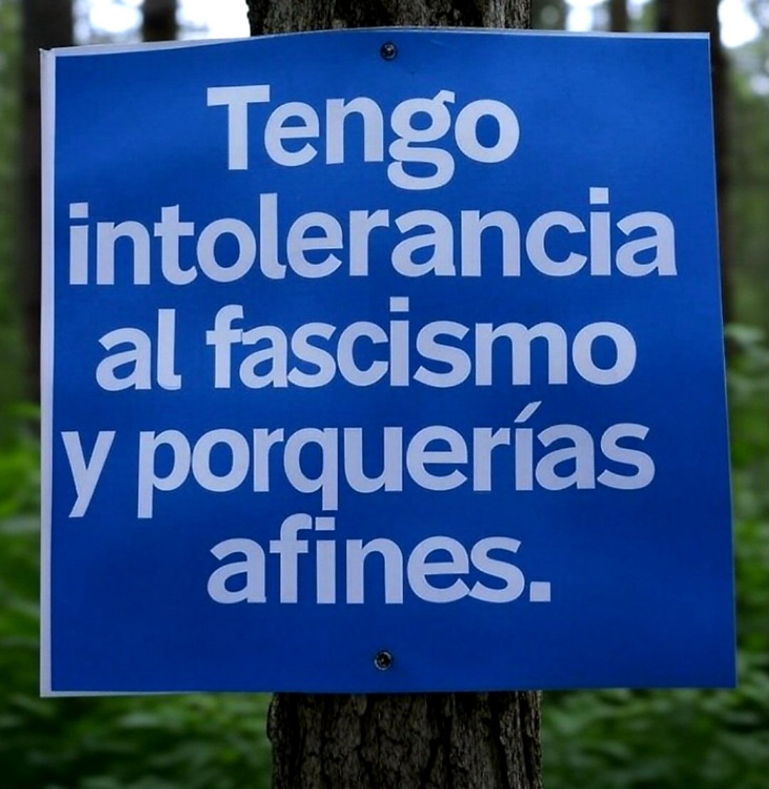 De plano les digo que...