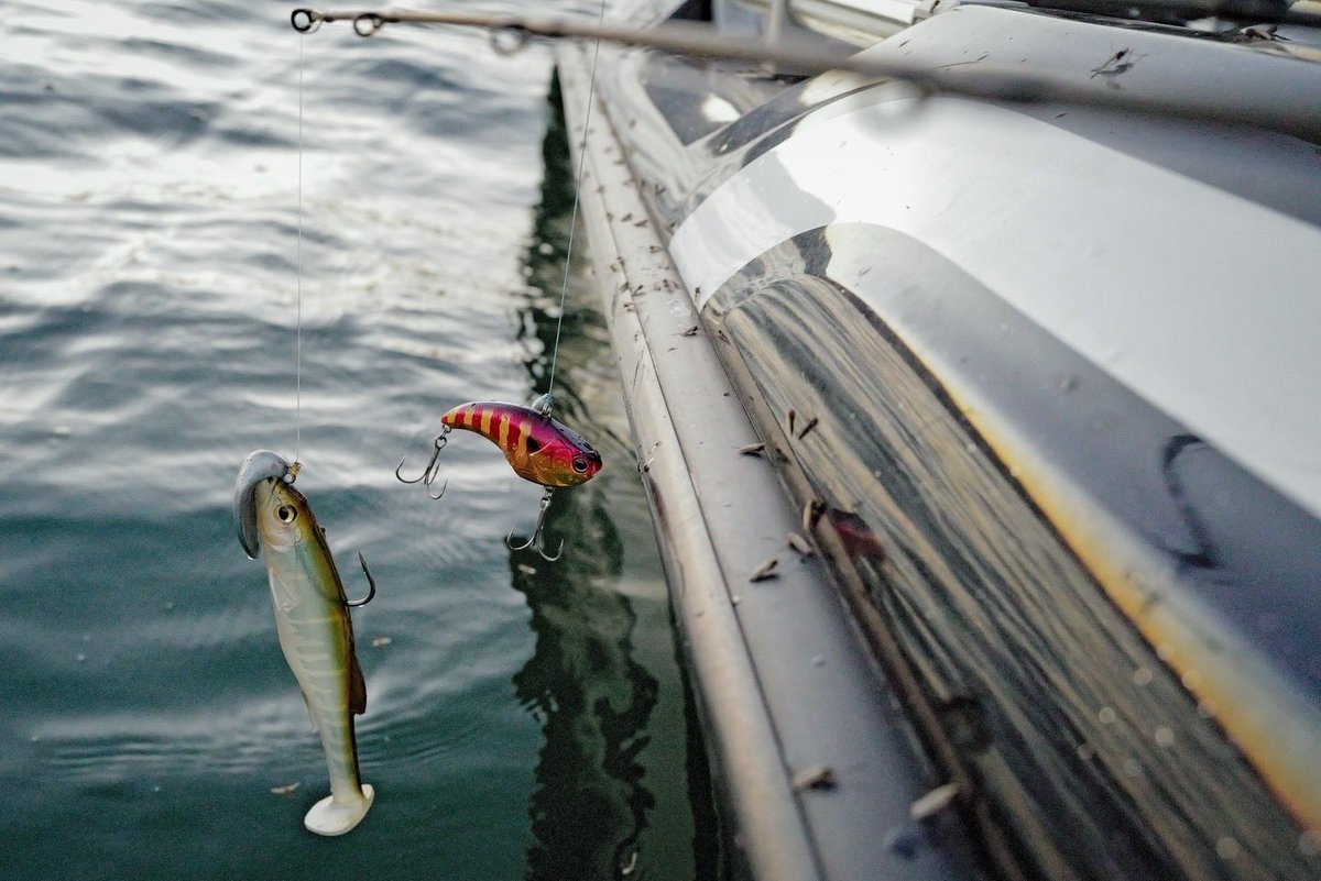 KIMKEN®（Kenta Kimura） (@kentakimura5727) / Posts / X