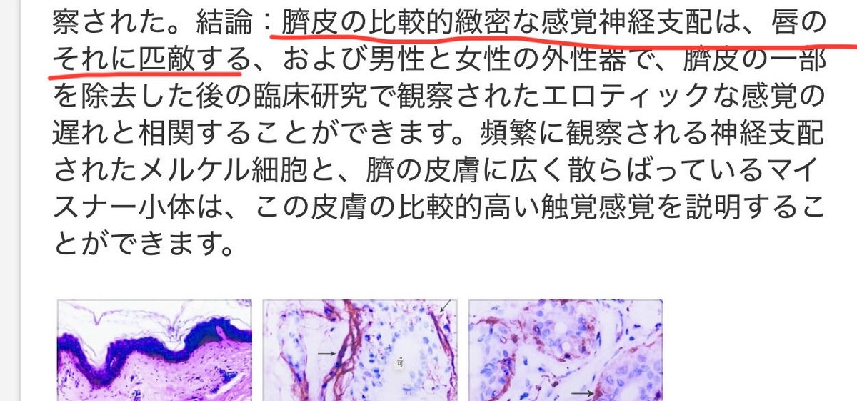 sharkcat7777's tweet photo. 論文によって示された、特定の人にとってだけ非常に重要で意味がある事実…
https://t.co/pzV7XqOoFP https://t.co/G6l6mcWvpK