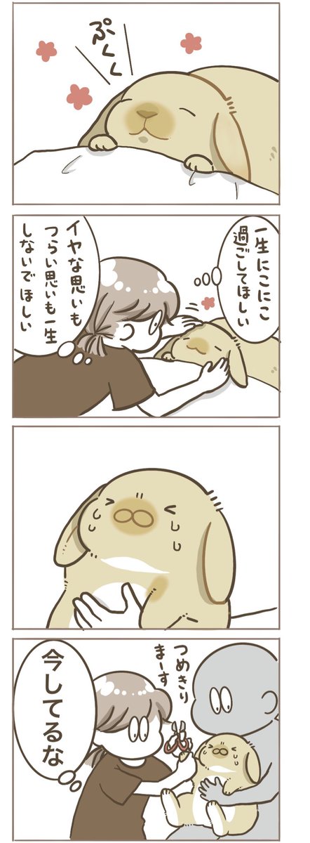 はにまるページ 何一つとしてツラい思いはしてほしくないけど、それはそれとして