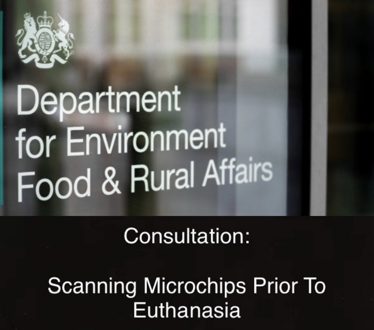 Tuks Law tweet media